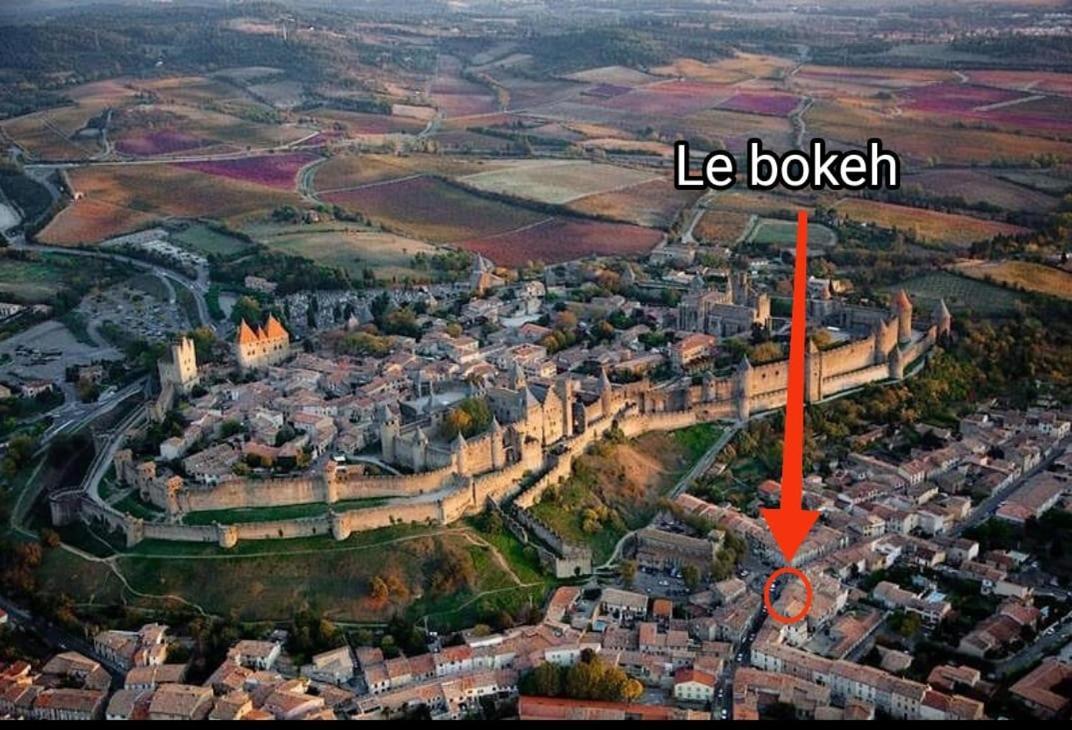 Le Bokeh - Face A La Cite Medievale 카르카손 외부 사진